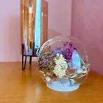 Apartment Cala *